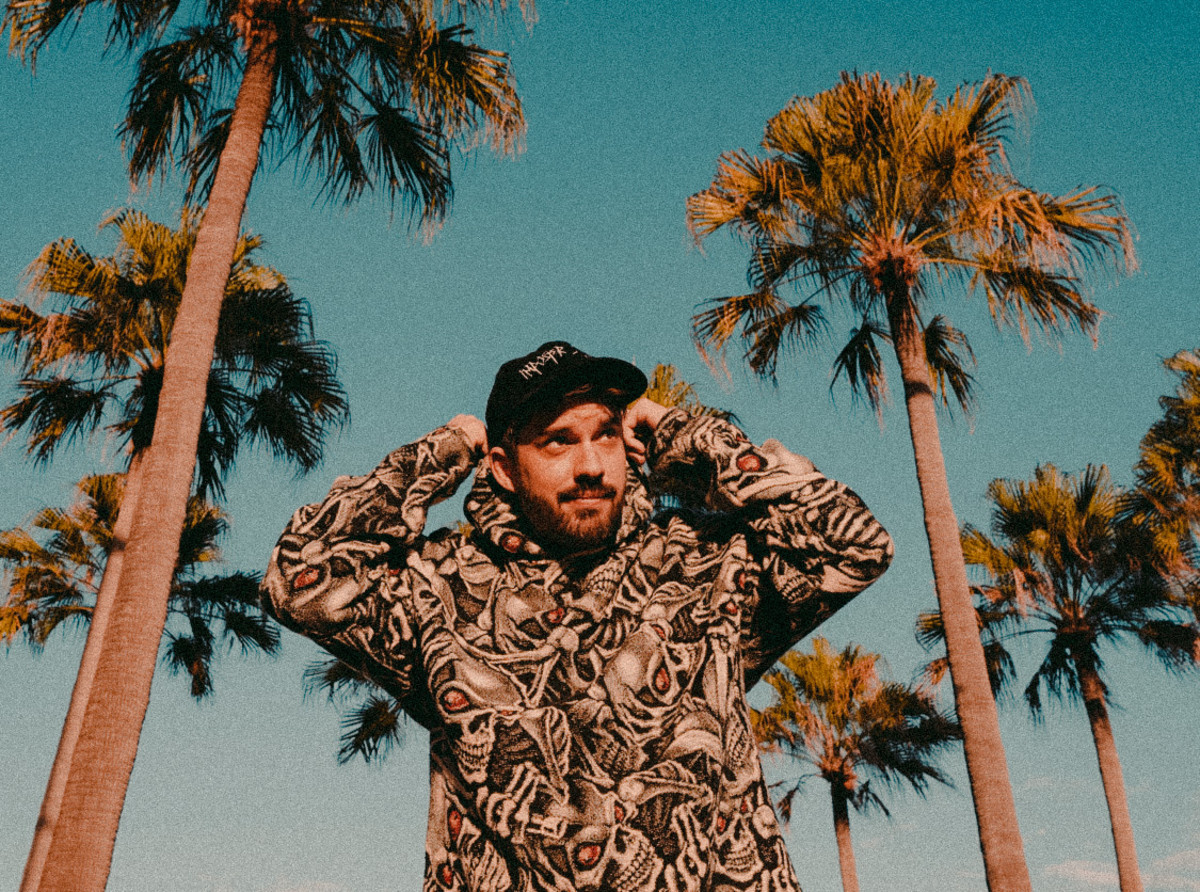 hydraulix-palm-2-5360432-6371449-jpg