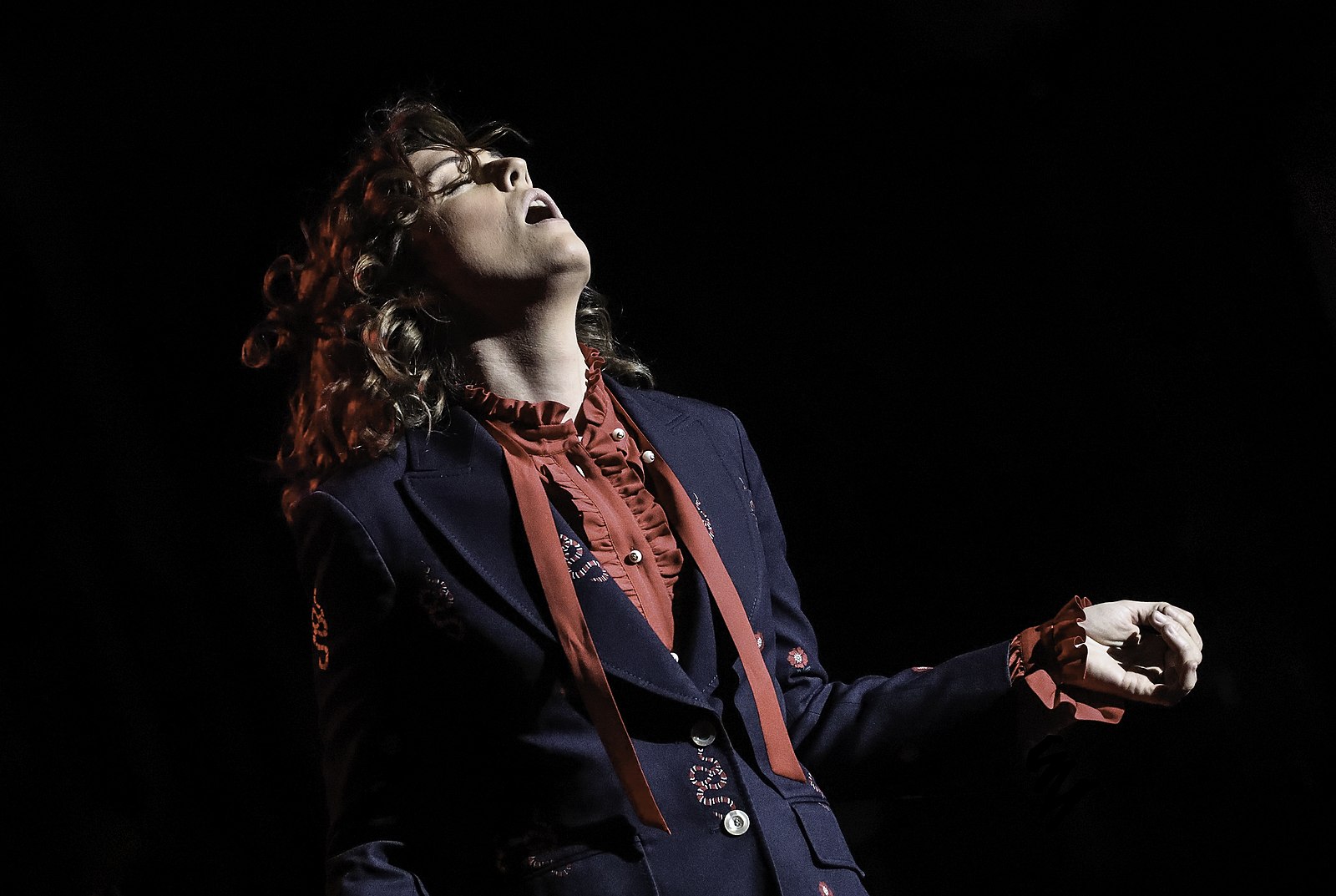 brandi-carlile-6745677-7598176-jpg