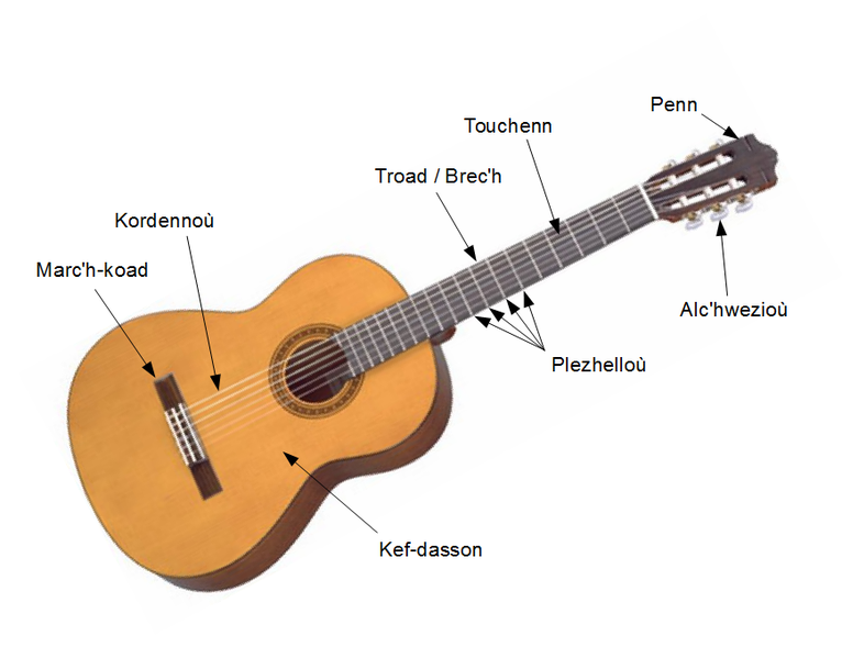 Comment bien choisir sa guitare ?
