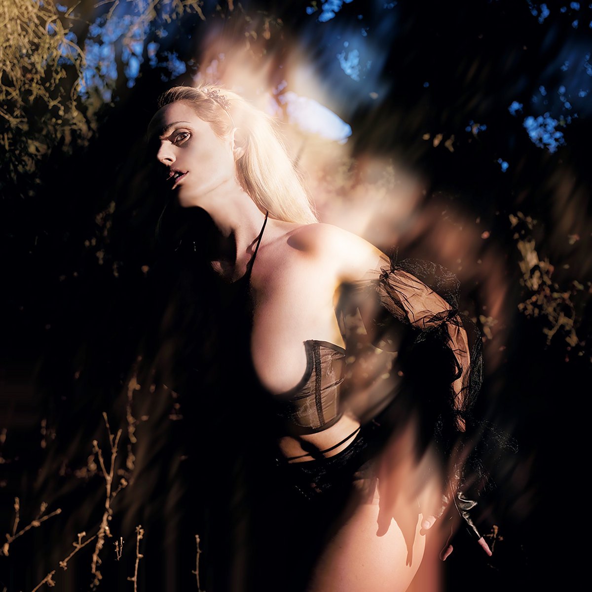 bent-rib-draagyn-4605635-5822440-jpg