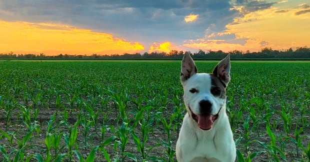 img20220613204735-5788257-8359879-jpg