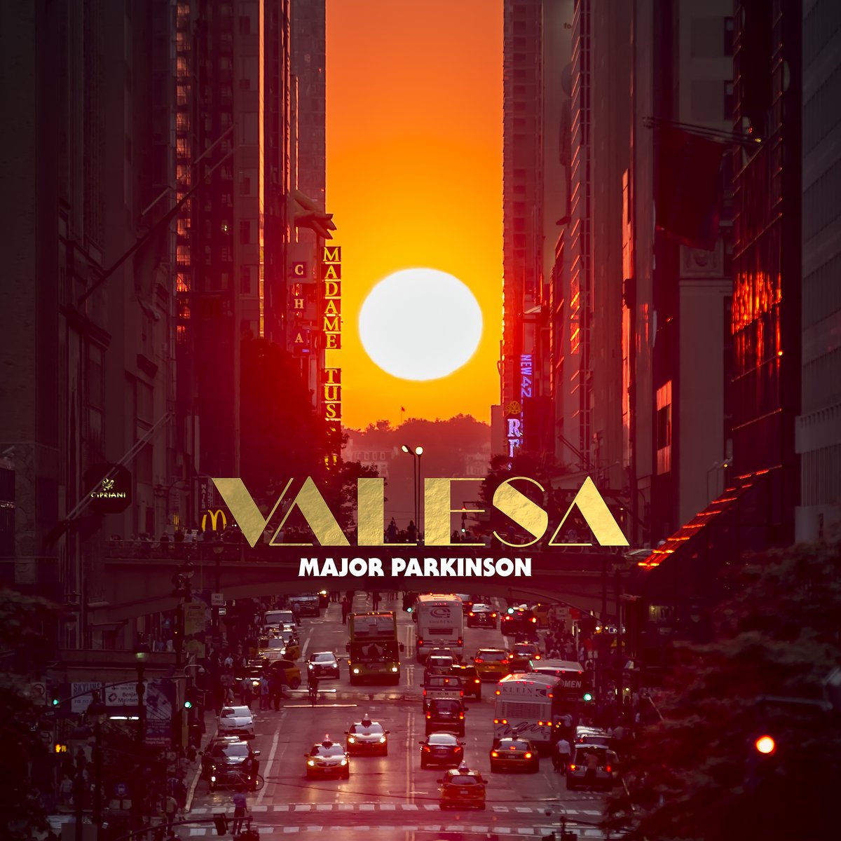 valesa-9771963-2749144-jpg