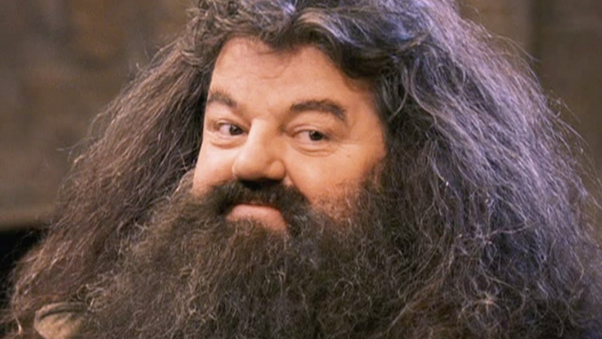 robbie-coltrane-dead-rubeus-hagrid-harry-potter-rip-obituary-4656019-6856672-png