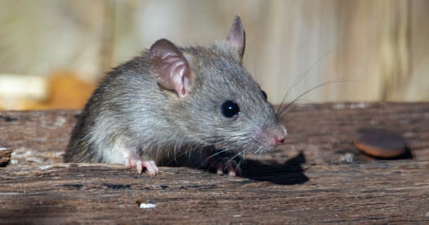 joshua-j-cotten-qxw15bmjxoq-unsplash-5928413-6757971-jpg