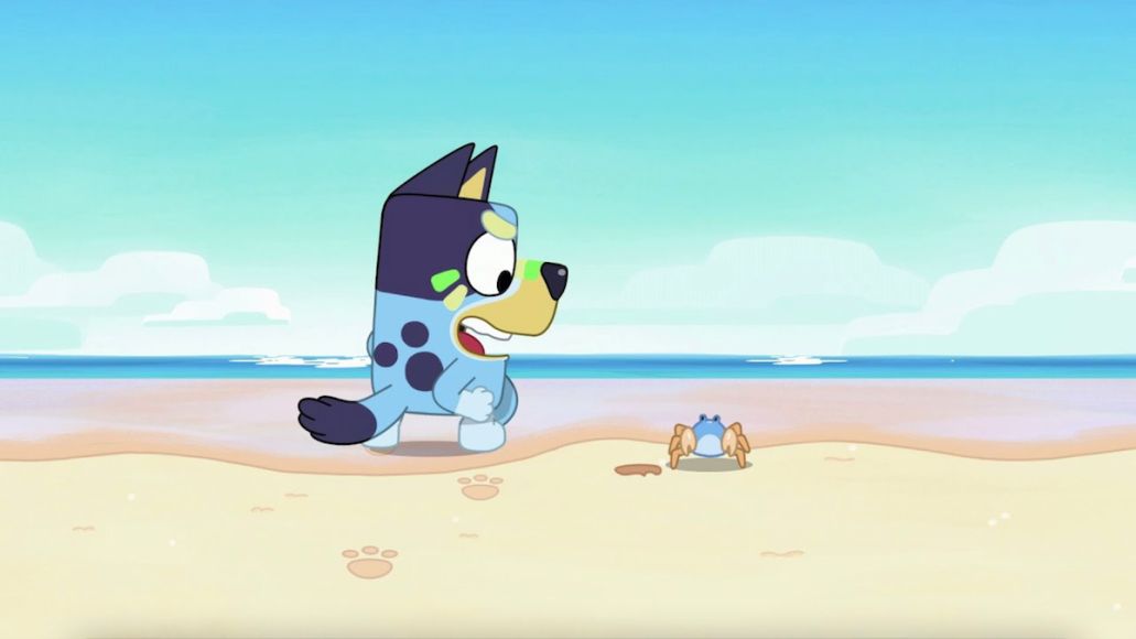 bluey la plage top 10 des épisodes