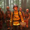 Comment Hollywood se trompe sur les incendies de forêt – à la grande frustration des pompiers