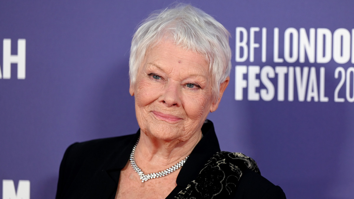 judi-dench-eyesight-acting-impossible-7465923-7923669-jpg