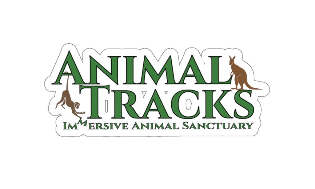 animal-tracks-4469332-4782398-jpg