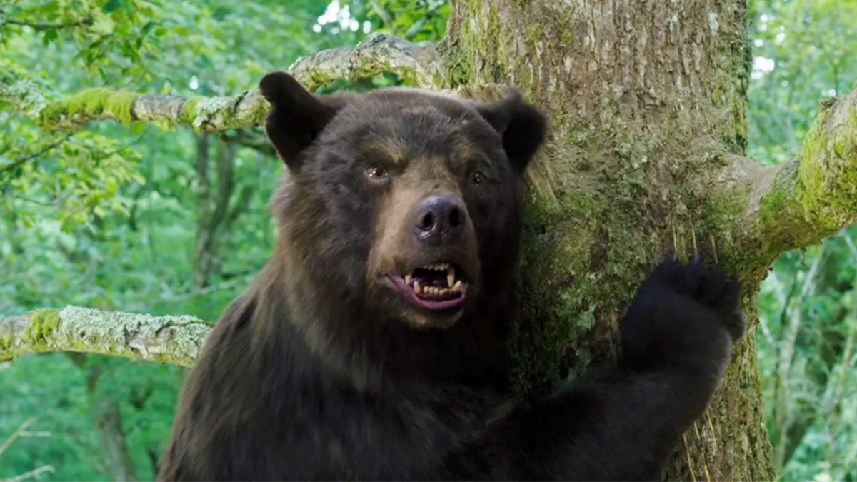 cocainebear-1241812-3420734-jpg