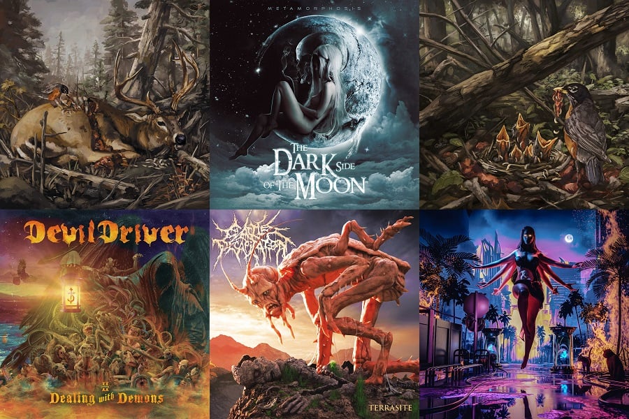 81-nlzwwll-_sl1500_-1-1030728-6173244-jpg