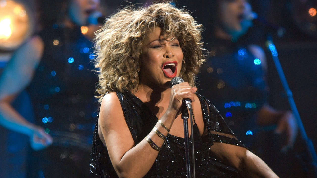 tina-turner-8488897-2766624-jpg