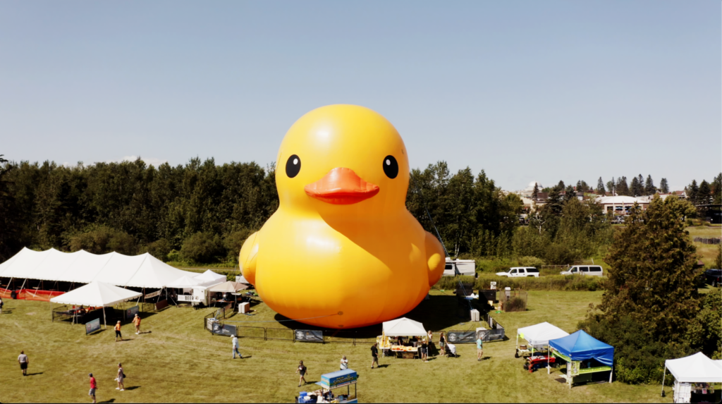 duck-1024x573-6182166-6104228-png