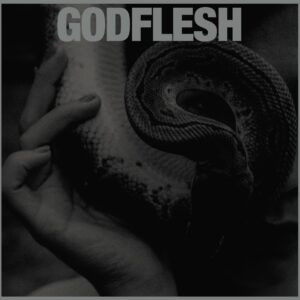 Critique d’album : GODFLESH Purge