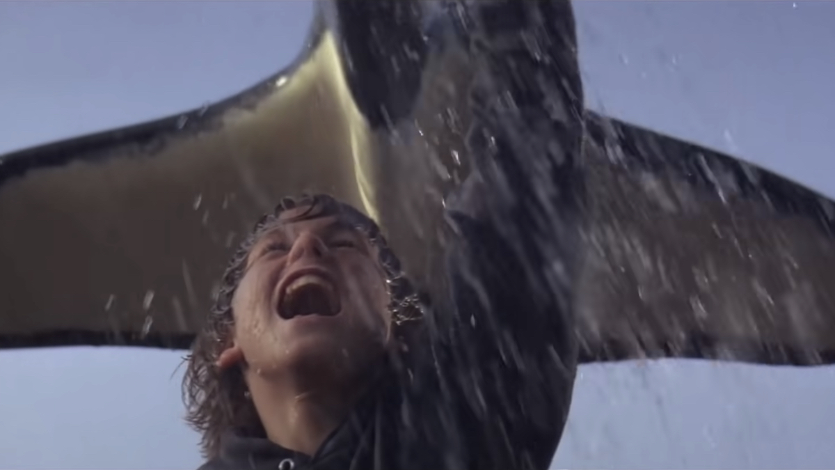 free-willy-ending-6990147-8664098-jpg