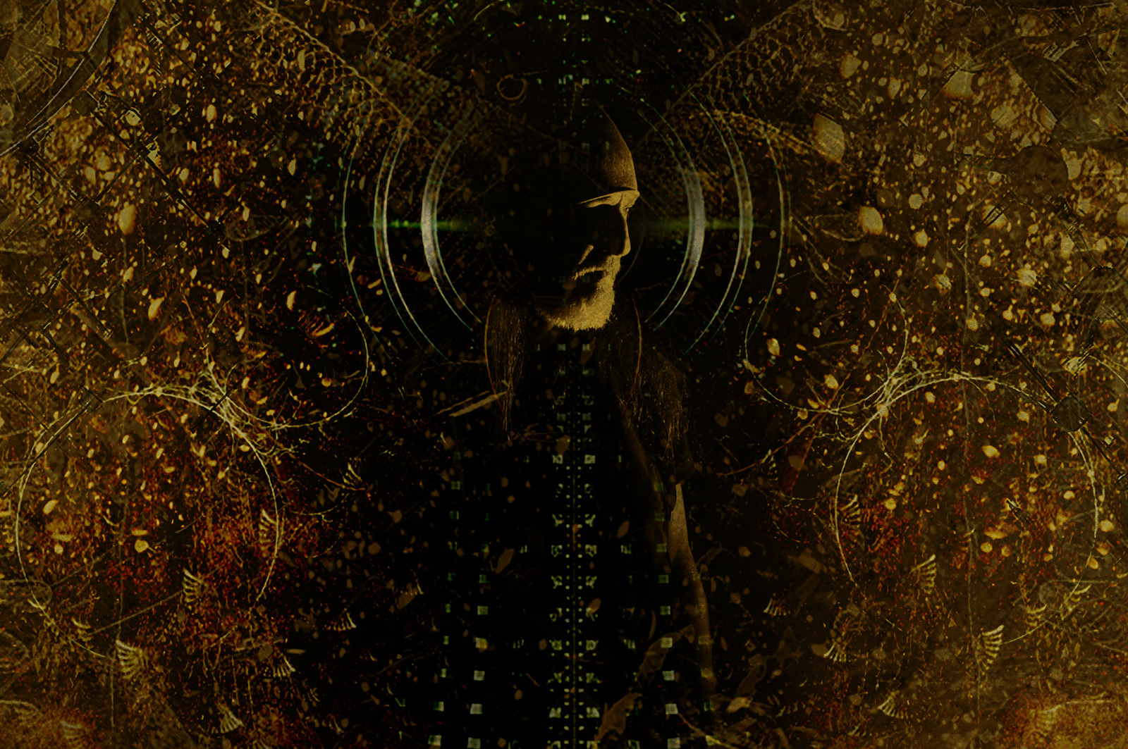 till-the-dirt-1894961-6571459-jpg