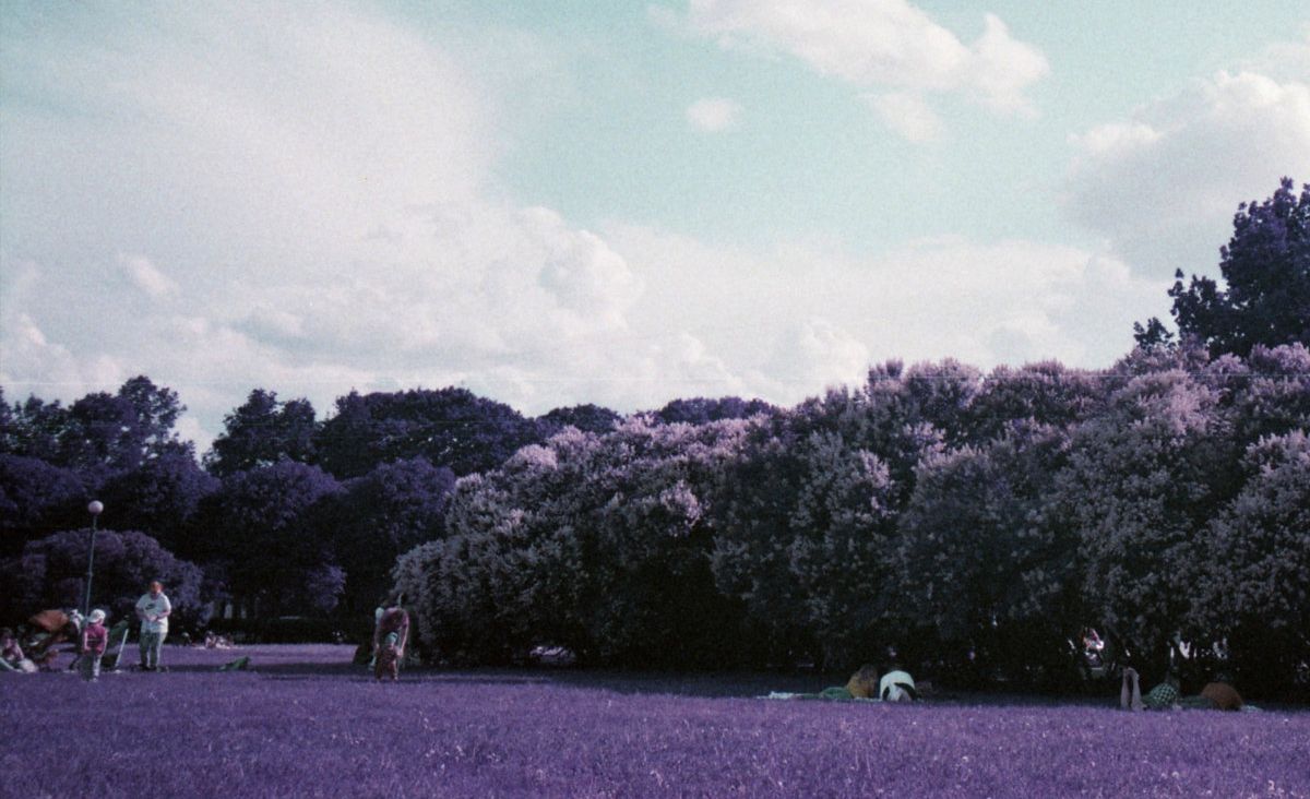 a1879723658_10-1-2218933-5268111-jpg