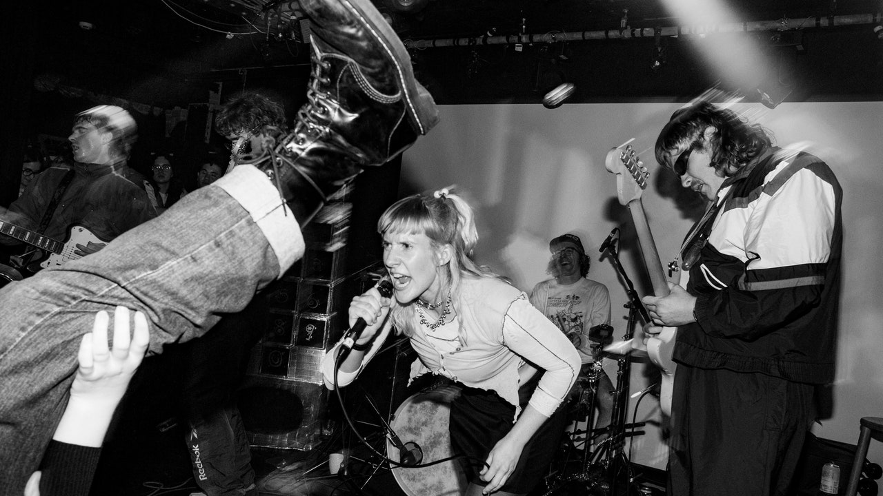 snooper-4347551-4513674-jpg