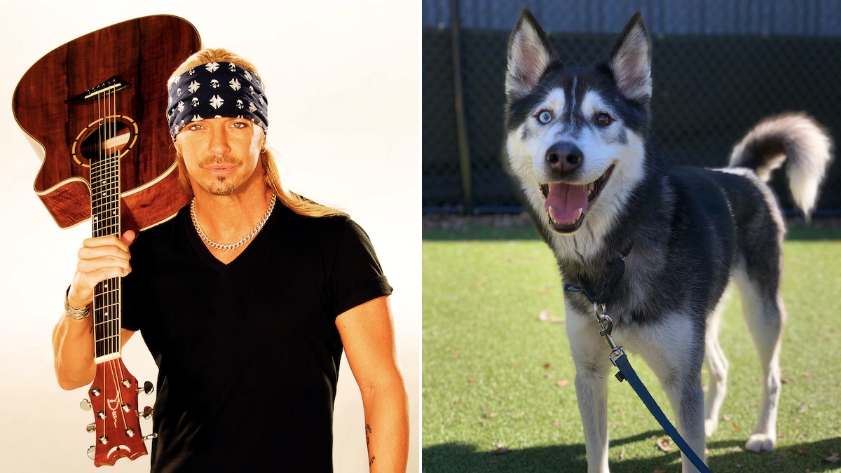 Le rockeur Bret Michaels adopte un chien héros nommé Bret Michaels