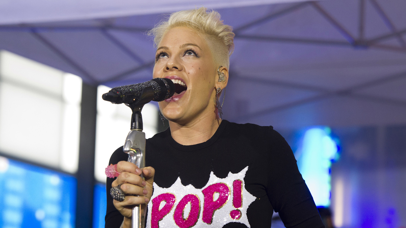 Pink offre 2 0000 livres interdits lors de concerts en Floride : NPR