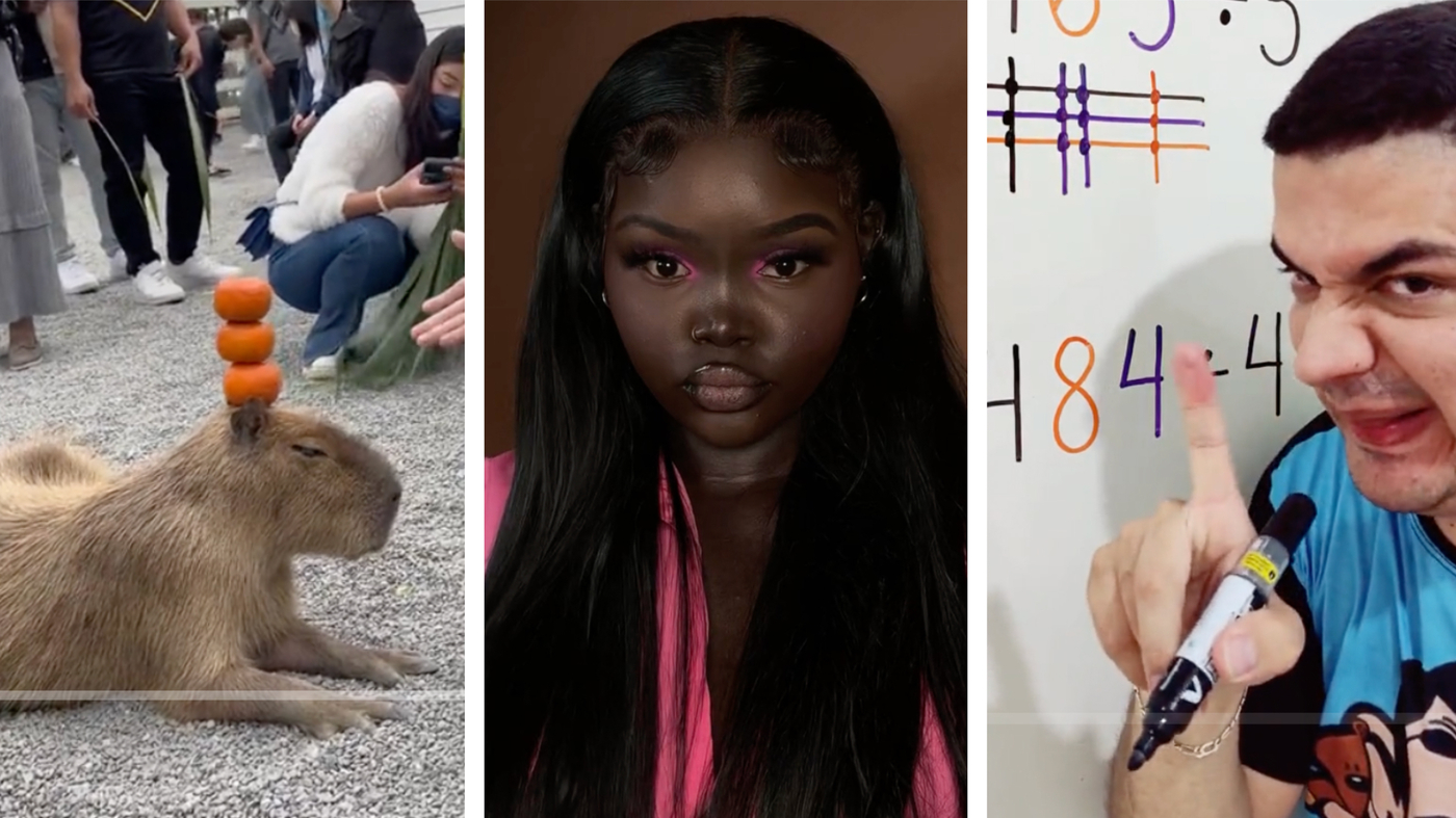 rongeur géant, M. Bean des maths, maquillage pour femmes de couleur : Goats and Soda : NPR