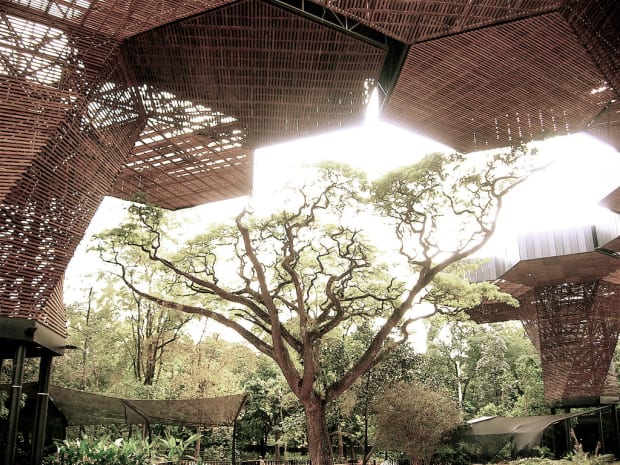 Tomorrowland annonce un nouveau festival de deux jours au jardin botanique de Medellín