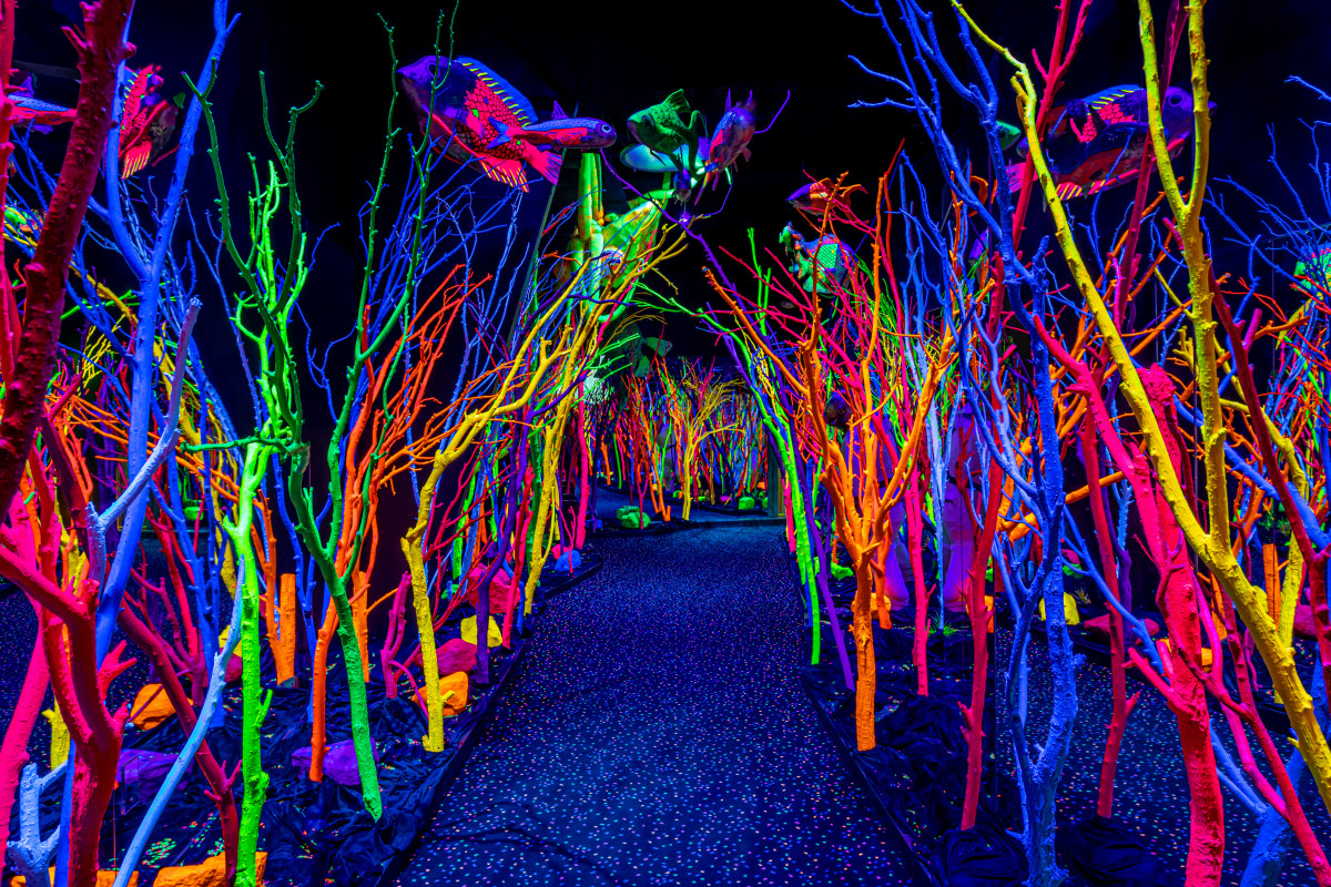 Découvrez l'immersion de Meow Wolf "Parti pêcher" Le monde de l’art à l’éclipse du Texas 2024