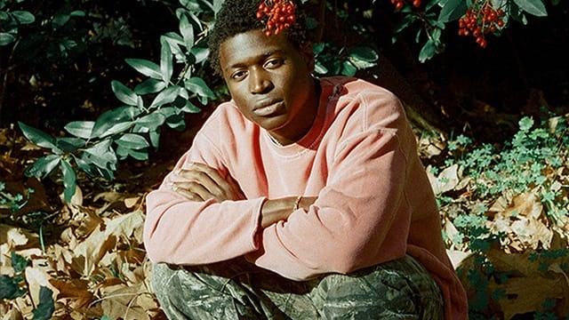 L'artiste indie folk Mon Rovîa parle d'espoir, d'inspiration et de thé à l'échinacée