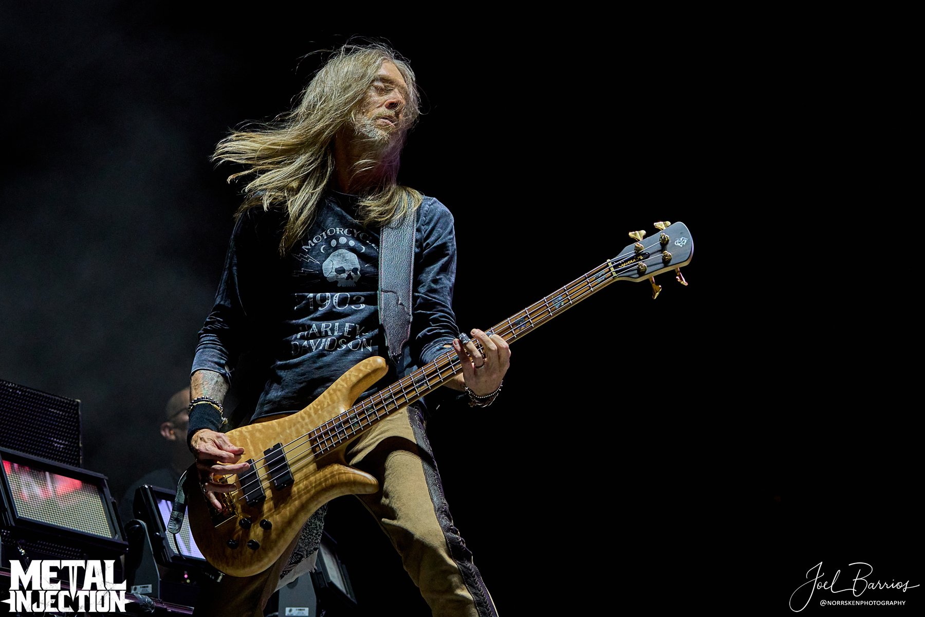 LTL2023-D3_54-Pantera