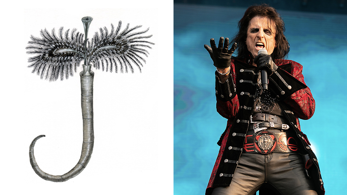 Scientists Name Jurassic Worm Fossil After Alice Cooper
