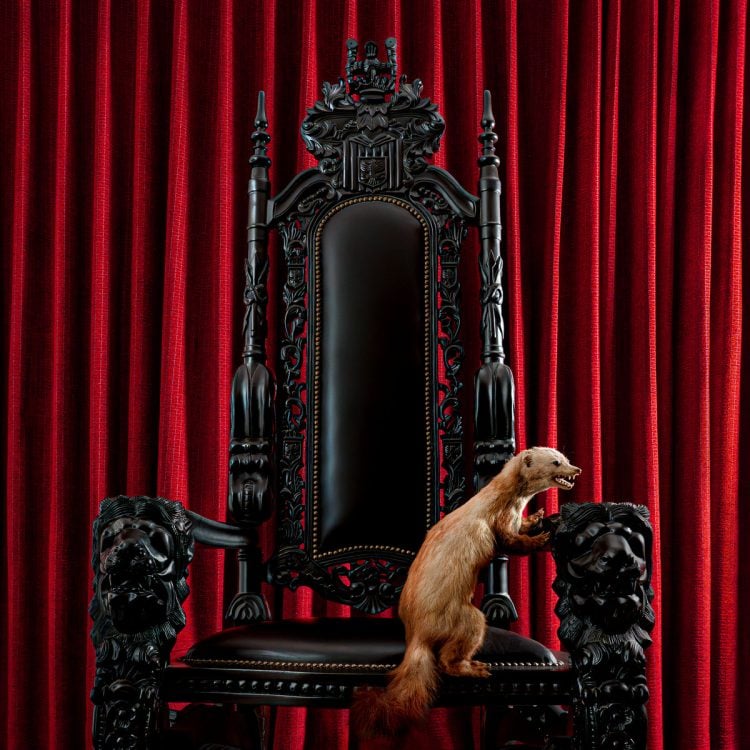 L'injection hebdomadaire : les nouveautés de DÅÅTH, POD et plus sont disponibles aujourd'hui 5/3