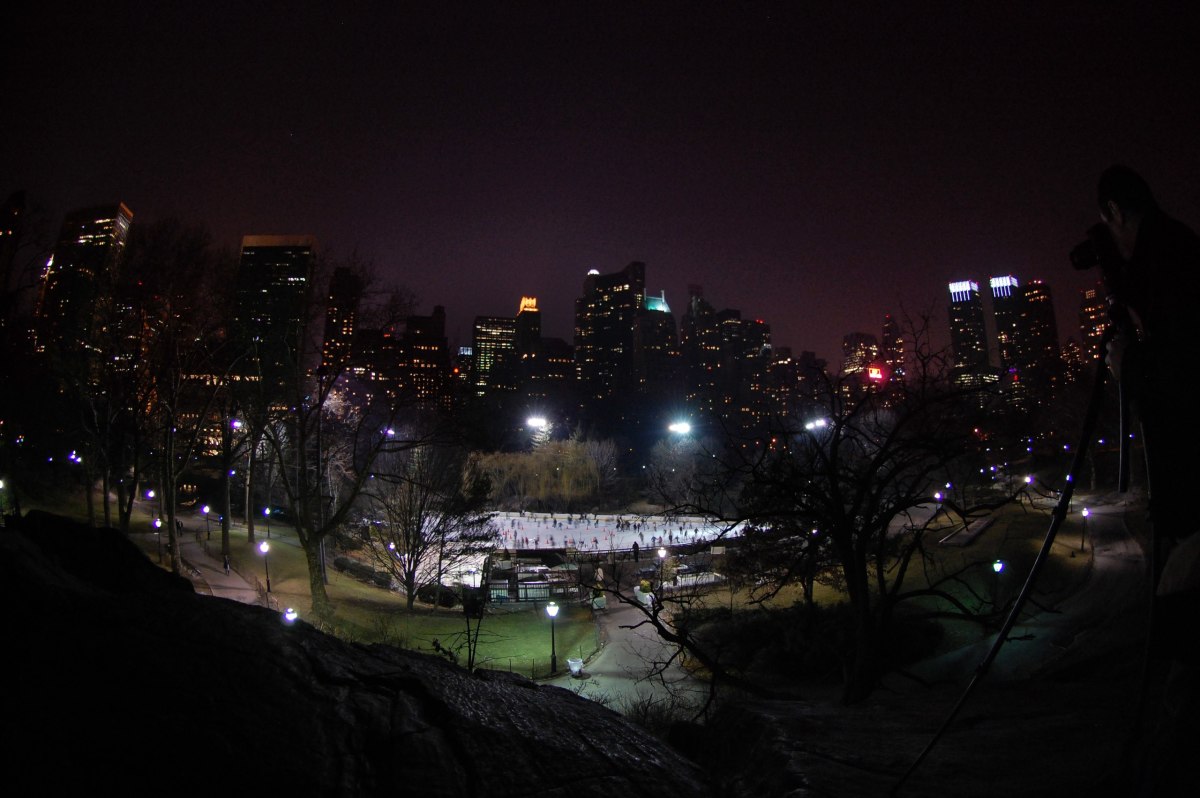 Le promoteur de Miami, We Belong Here, apportera une nouvelle expérience de festival de musique à la patinoire de Central Park