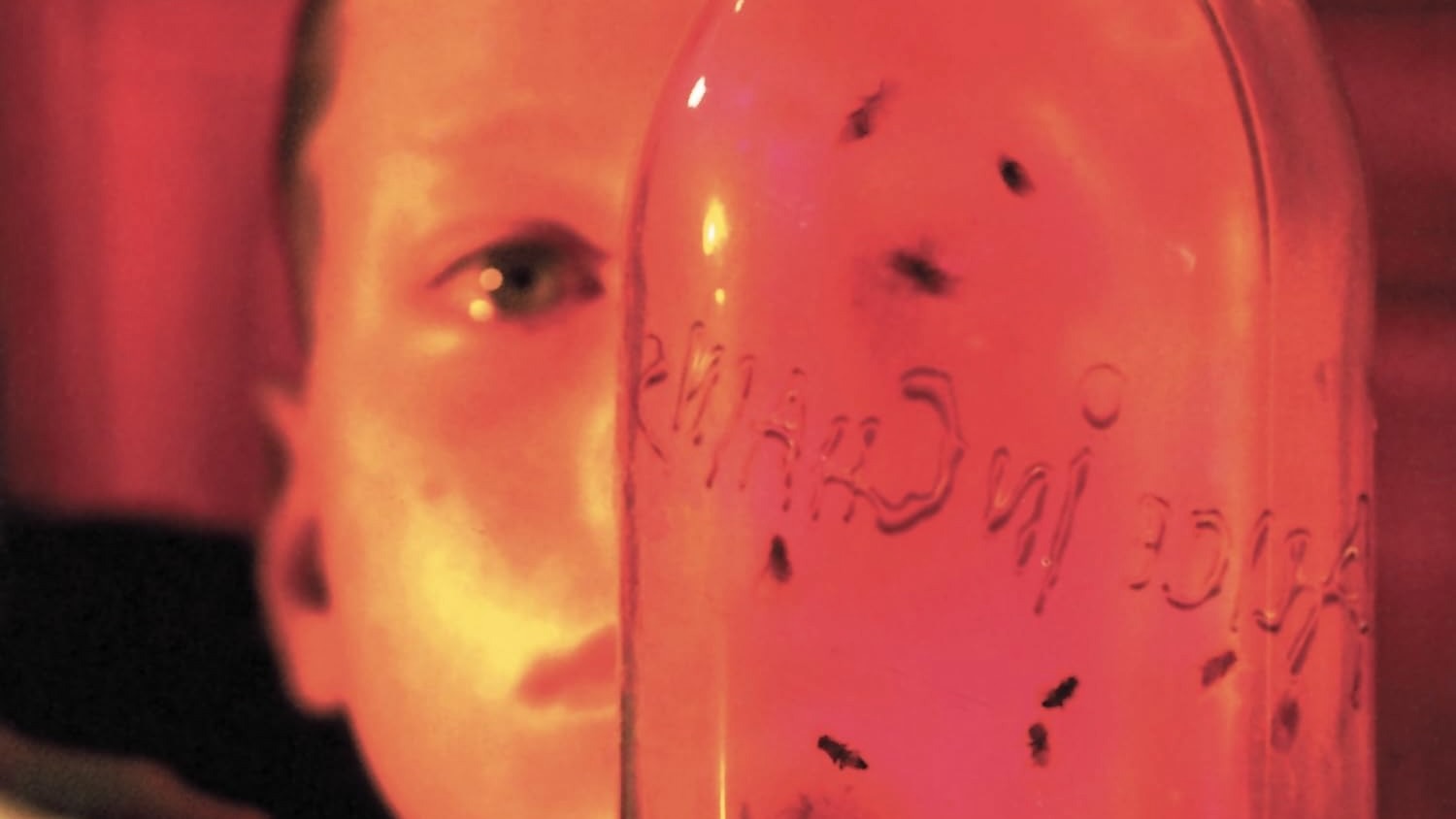 Il y a 31 ans, Alice in Chains sortait l'EP obsédant Jar of Flies