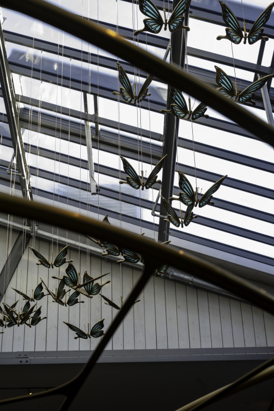 Le nouveau magasin de détail Ibiza de Tomorrowland a une boutique de tatouage et une terrasse pour les ensembles de DJ: Regardez à l'intérieur