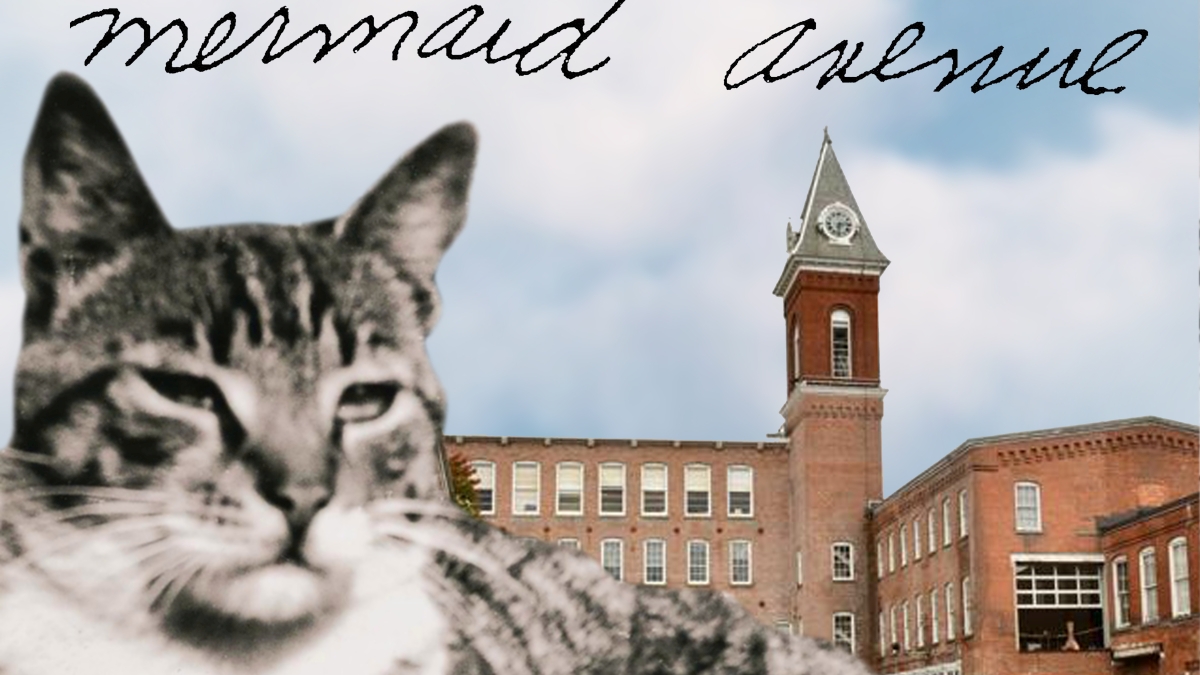 Wilco et Billy Bragg se produiront en concert pour la première fois sur Mermaid Avenue