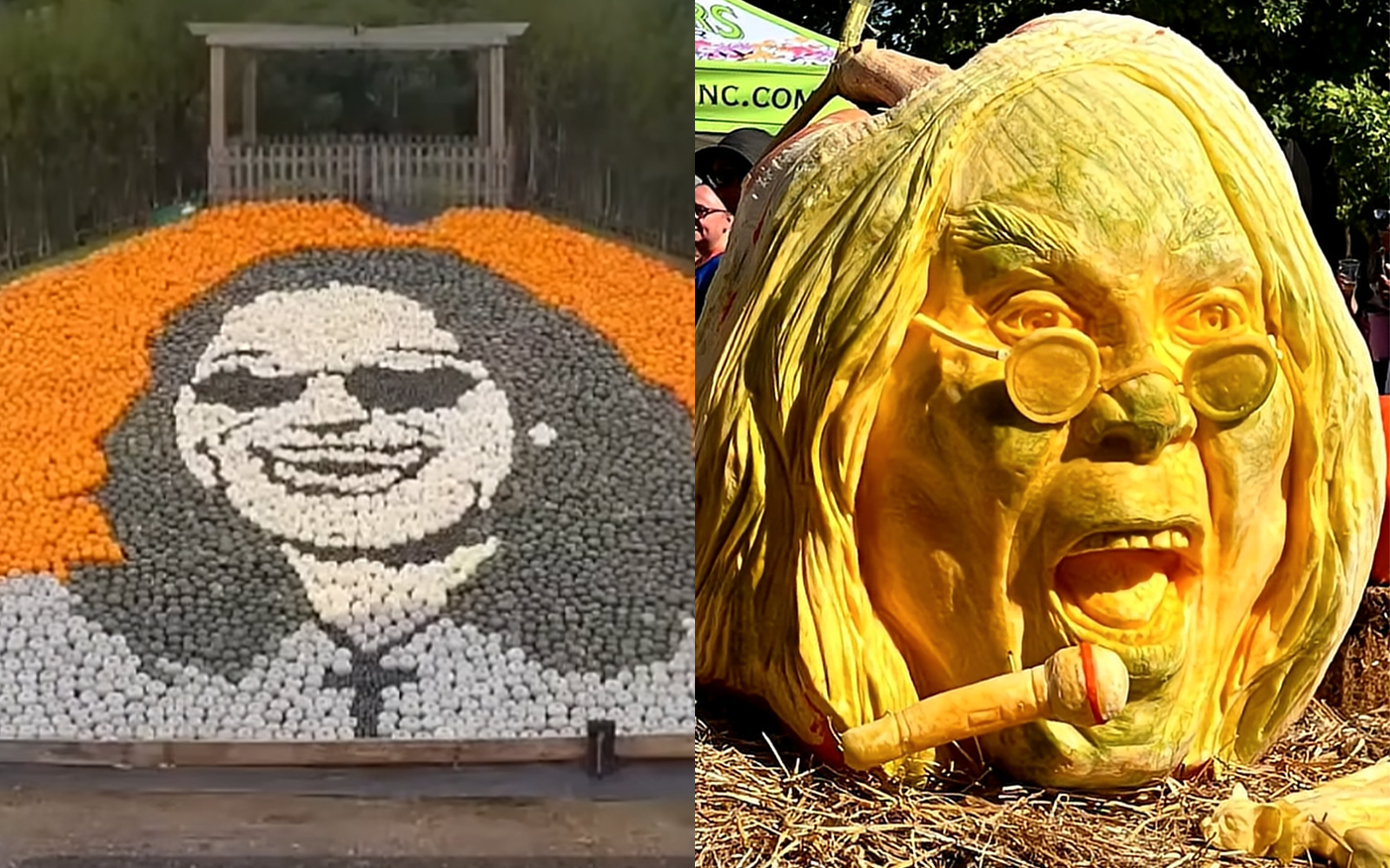 Pumpkinozzy