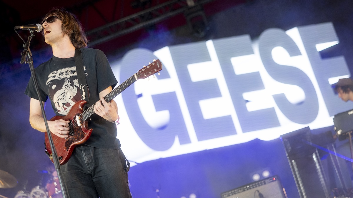 Non, les oies ne sont pas une opération psychologique