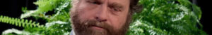 Il est peu probable que Zach Galifianakis ramène entre deux fougères