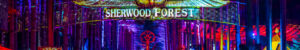 7 artistes que nous avons hâte de voir à Electric Forest 2026